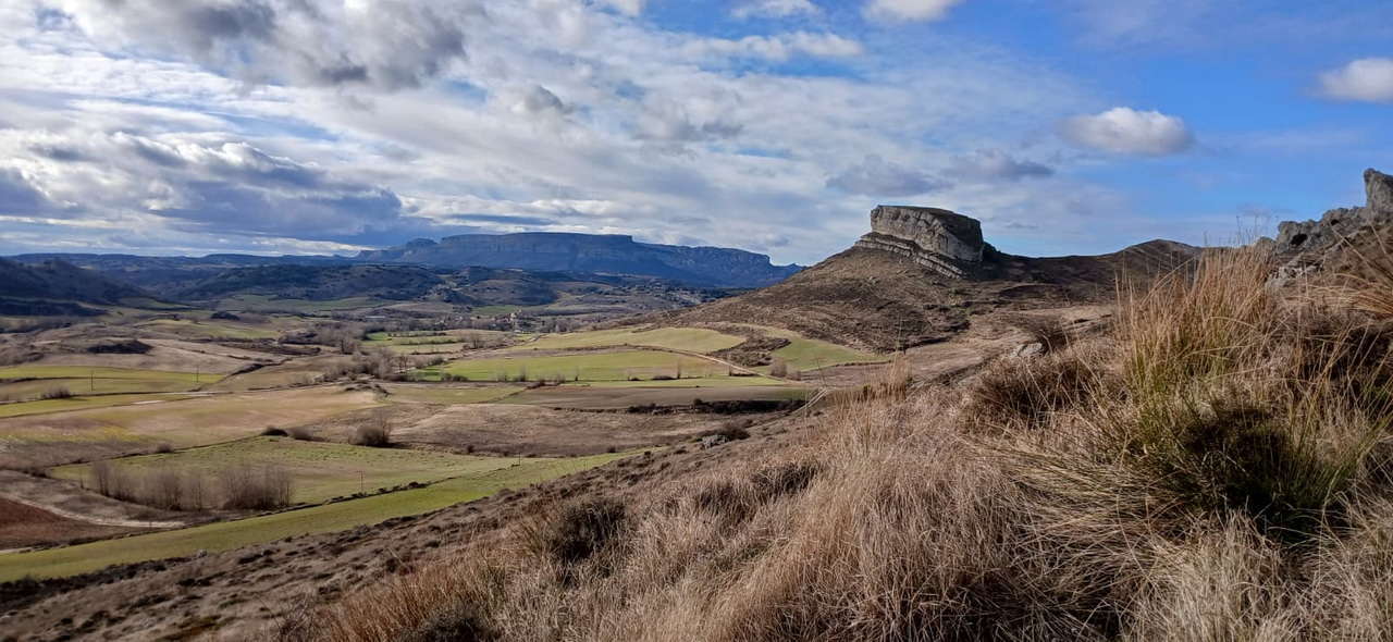 WhatsApp Image 2026-02-10 at 11.24.08 (4)